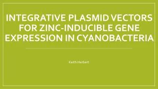 Integrative plasmid vectors for zinc-inducible gene expression in cyanobacteria