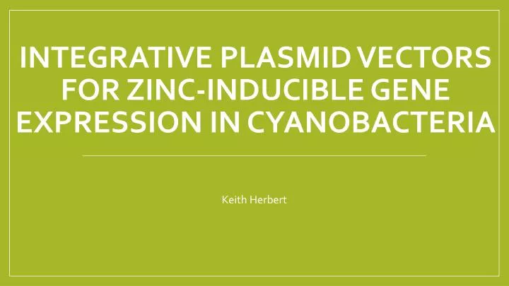 integrative plasmid vectors for zinc inducible gene expression in cyanobacteria