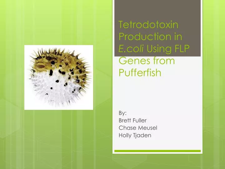 tetrodotoxin production in e coli using flp genes from pufferfish