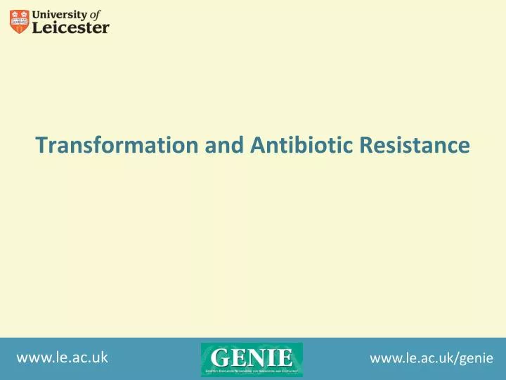 transformation and antibiotic resistance