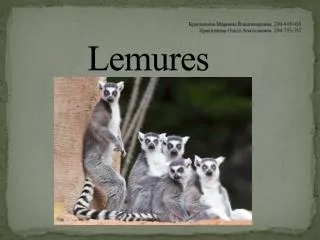 Lemures