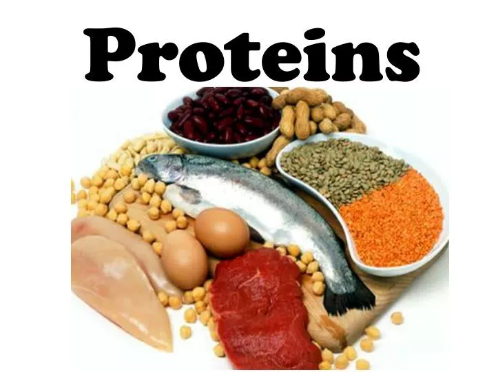 PPT Proteins PowerPoint Presentation Free Download ID