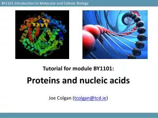 BY1101 Introduction to Molecular and Cellular Biology