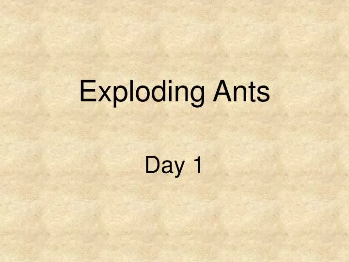 exploding ants