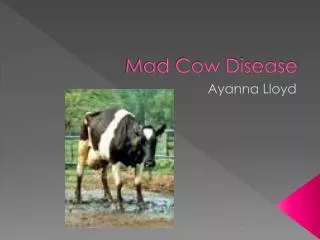 Mad Cow Disease