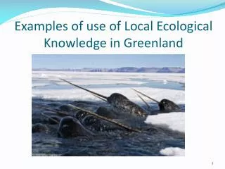 Examples of use of Local Ecological Knowledge in Greenland