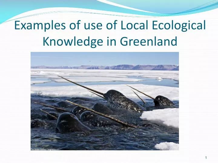 examples of use of local ecological knowledge in greenland