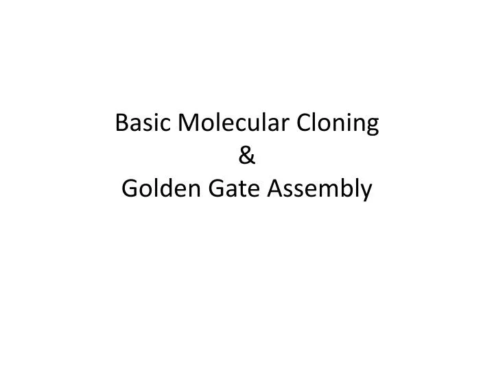 basic molecular cloning golden gate assembly