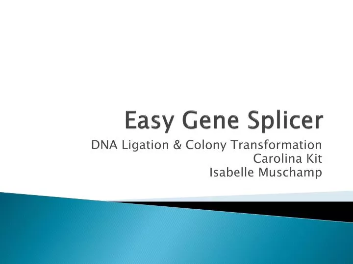 easy gene splicer
