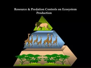 Resource &amp; Predation Controls on Ecosystem Production