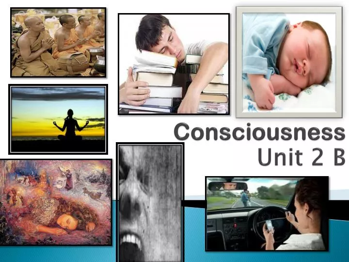 consciousness unit 2 b