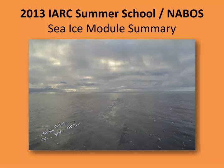 2013 iarc summer school nabos sea ice module summary