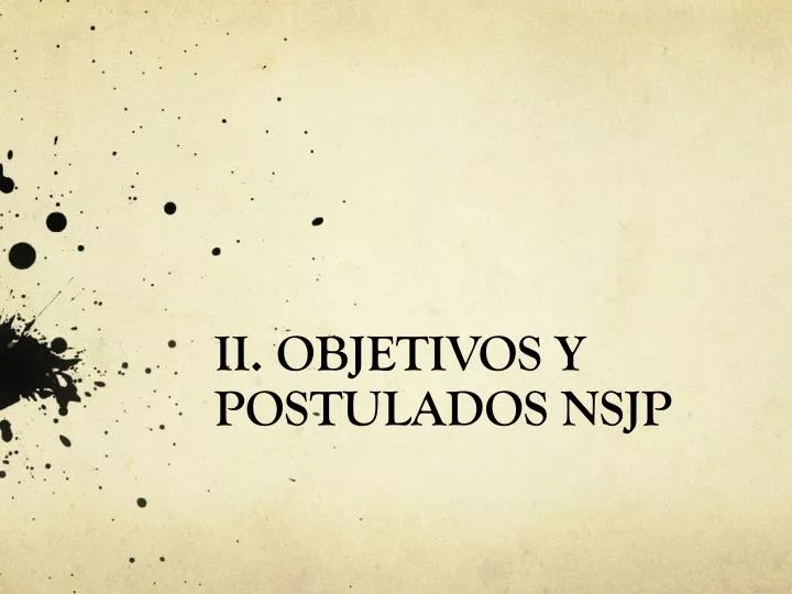 ii objetivos y postulados nsjp