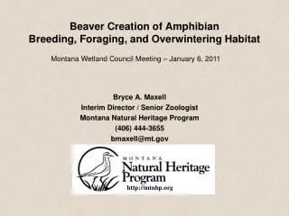 Beaver Creation of Amphibian Breeding, Foraging, and Overwintering Habitat