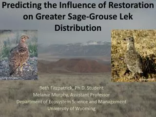 Predicting the Influence of Restoration on Greater Sage-Grouse Lek Distribution