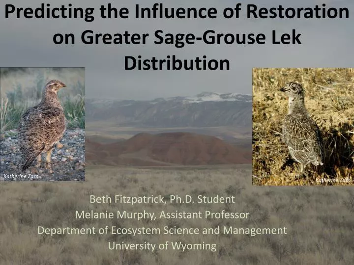 predicting the influence of restoration on greater sage grouse lek distribution