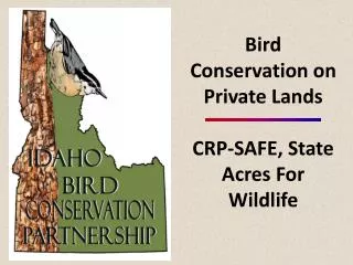 Bird Conservation on Private Lands CRP-SAFE, State Acres For Wildlife
