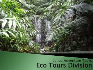 Eco Tours Division
