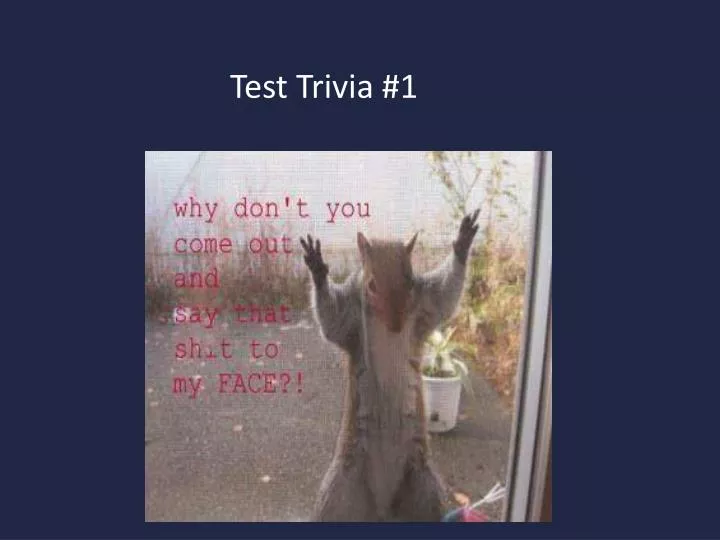 test trivia 1