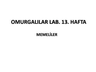 OMURGALILAR LAB. 13. HAFTA