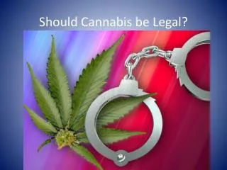 Should Cannabis be Legal?