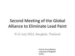 Second Meeting of the Global Alliance to Eliminate Lead Paint