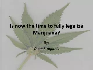 Is now the time to fully legalize Marijuana?