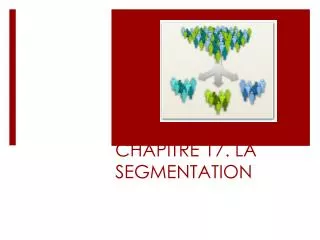 chapitre 17 la segmentation
