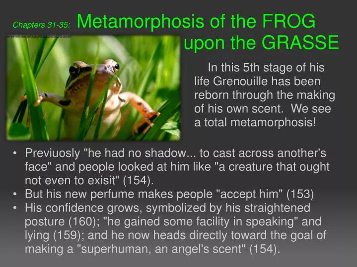 chapters 31 35 metamorphosis of the frog upon the grasse