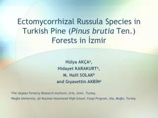 Ectomycorrhizal Russula Species in Turkish Pine ( Pinus brutia Ten.) Forests in İzmir