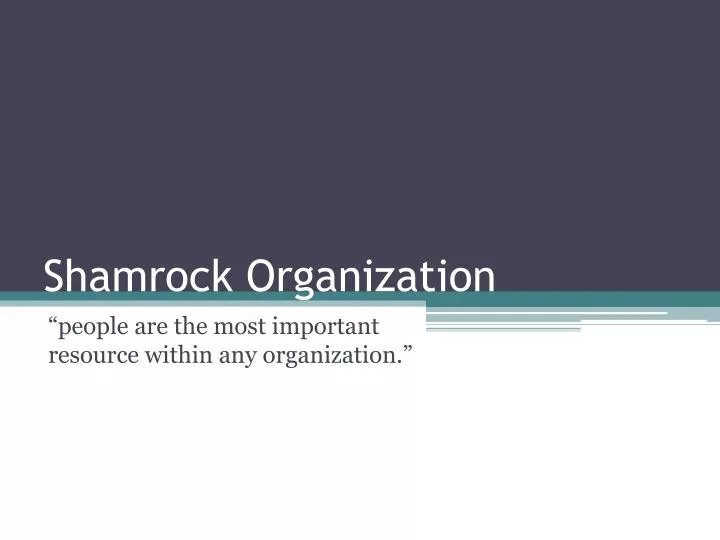 shamrock organization