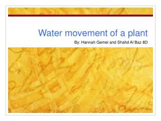 Water movement of a plant