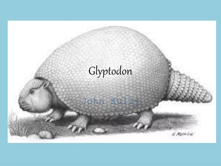 glyptodon