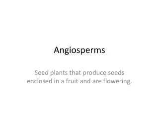 Angiosperms