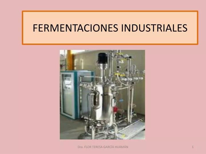 fermentaciones industriales