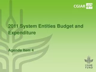 2011 System Entities Budget and Expenditure Agenda Item 4