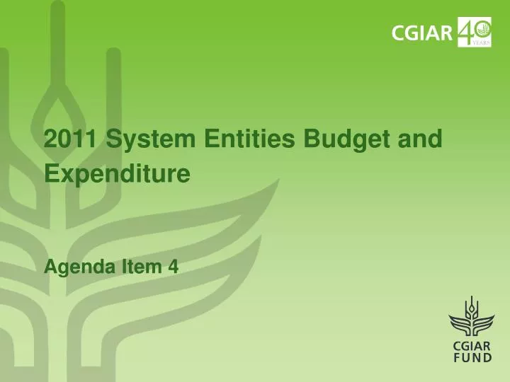 2011 system entities budget and expenditure agenda item 4