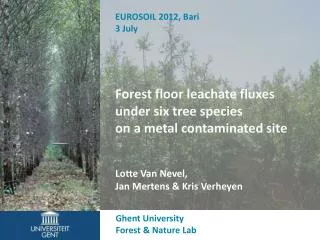 Forest floor leachate fluxes under six tree species on a metal contaminated site