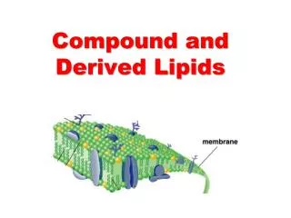 Compound and Derived Lipids