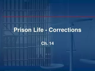 Prison Life - Corrections