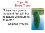 Understanding Binary Trees: Properties, Traversals & Implementations - slide 1