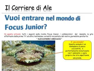 il corriere di ale