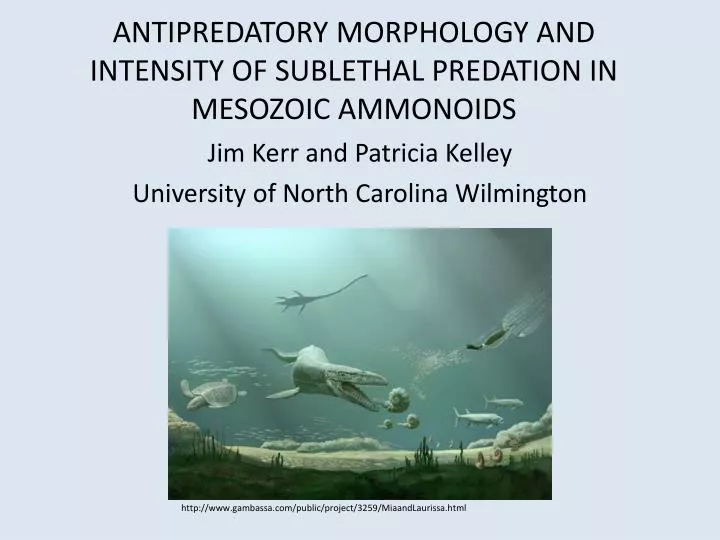 antipredatory morphology and intensity of sublethal predation in mesozoic ammonoids