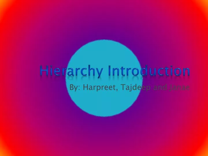 hierarchy introduction