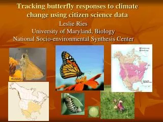 Tracking butterfly responses to climate change using citizen science data