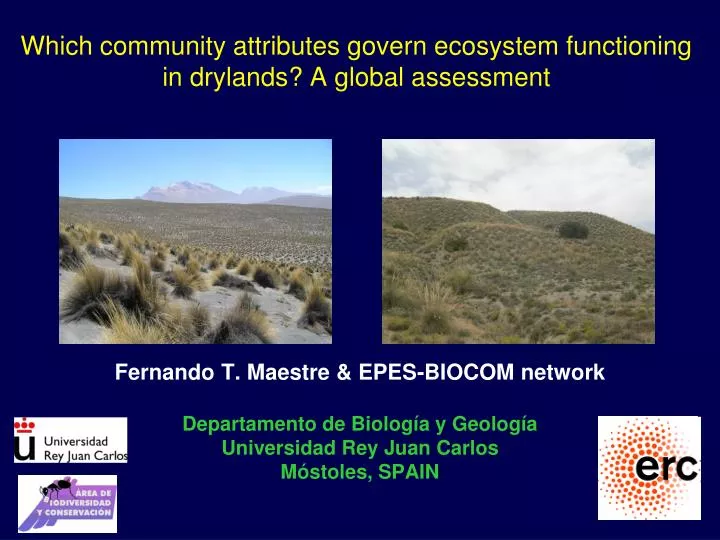 which community attributes govern ecosystem functioning in drylands a global assessment