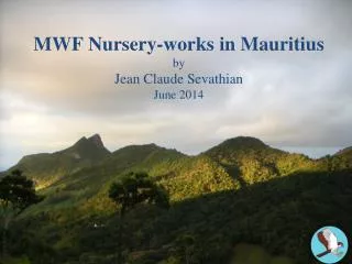 MWF Nursery-works in Mauritius by Jean Claude Sevathian June 2014