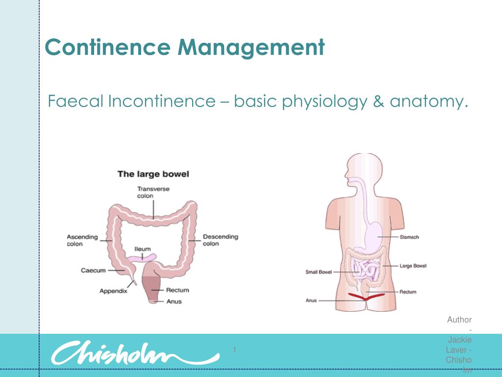 PPT - Continence Management PowerPoint Presentation, free download - ID ...