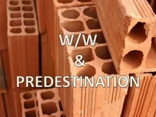 W/W &amp; PREDESTINATION
