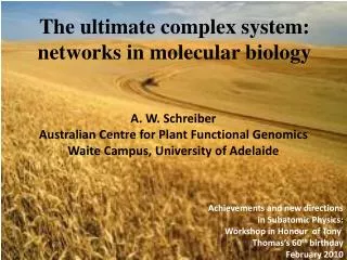 The ultimate complex system: networks in molecular biology